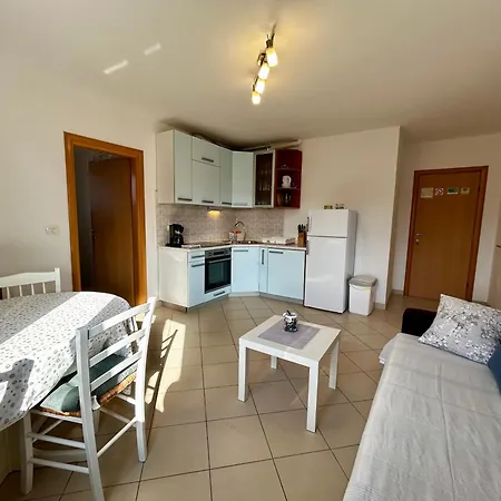 Matteo * Novigrad Istria