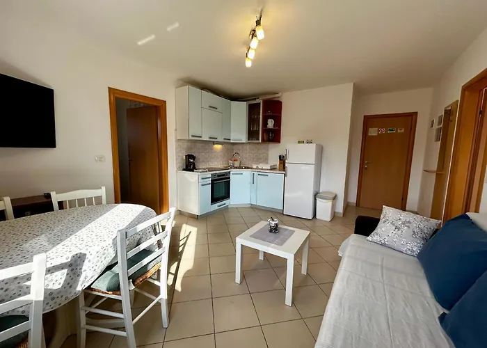 Matteo * Novigrad Istria